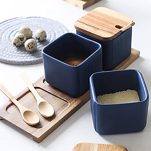 Aintap Keramik-Gewürzdosen-Set – stilvolle Blaue Gewürzbehälter mit Deckel, Löffel und Tablett – praktische Gewürzaufbewahrungslösung für Zuhause und Küche von Aintap