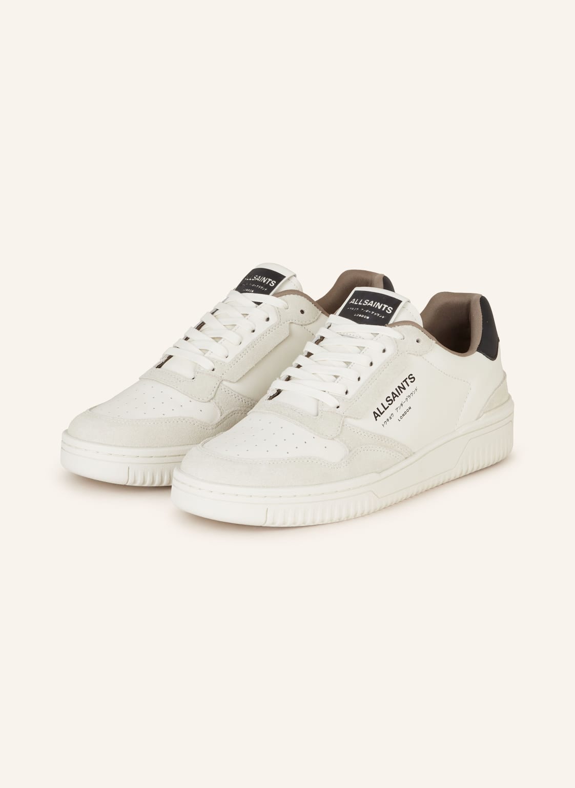 Allsaints Sneaker Regan weiss von AllSaints