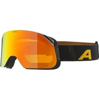 ALPINA Herren Brille BLACKCOMB Q-LITE von Alpina