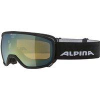 ALPINA Kinder Skibrille Scarabeo Junior von Alpina