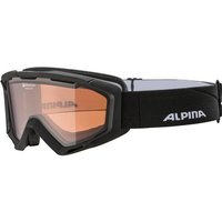 ALPINA Skibrille PANOMA von Alpina