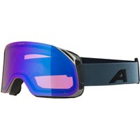 Alpina Blackcomb Q-Lite Skibrille von Alpina