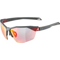 Alpina Twist Six HR QV 1-3 Sportbrille von Alpina