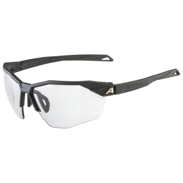 Alpina - Twist Six HR V Cat. 1-3 - Sonnenbrille weiß/grau von Alpina