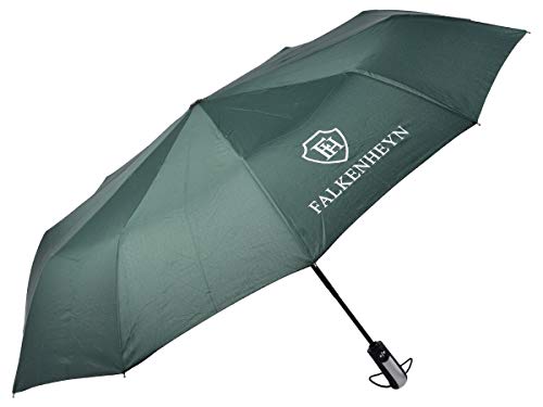 Falkenheyn Regenschirm Sturmfest Taschenschirm mit voll-automatischer Auf Zu Automatik Windfest Grün von Alsino