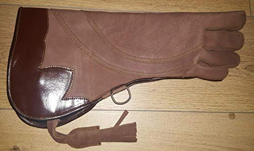 Altawash Adler und Falknerei Handschuh 4 Schichten Nubuk Leder 16 Inches Lang, Schwarz Glänzend - XL (XL) von Altawash