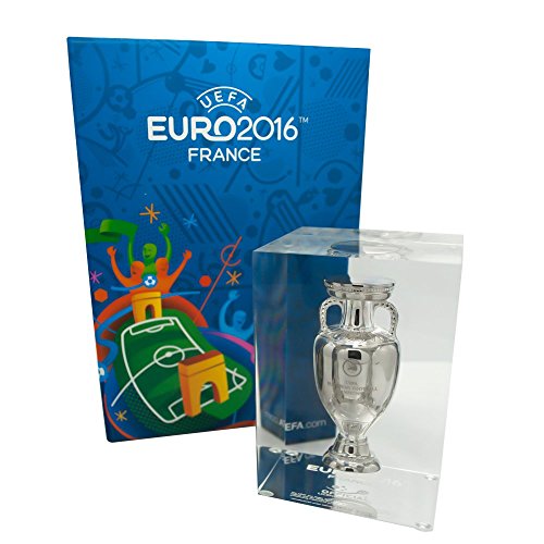 UEFA EURO 2016 Pokal Trophy 100mm im Acryl Block Europameisterschaft Frankreich von Am Ball Com