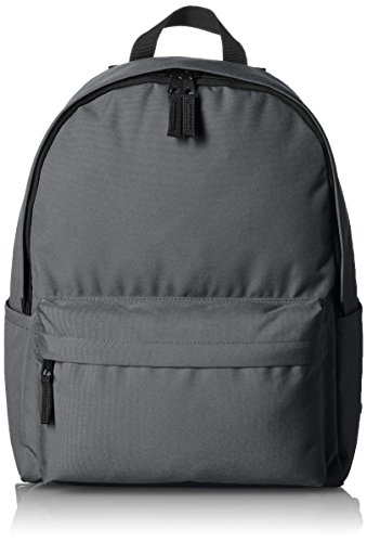 Amazon Basics, Rucksack für Klassische Anlässe/Freizeit/Schule, 30.99 x 15.24 x 40.13 cm, Grau, 1er-Pack von Amazon Basics