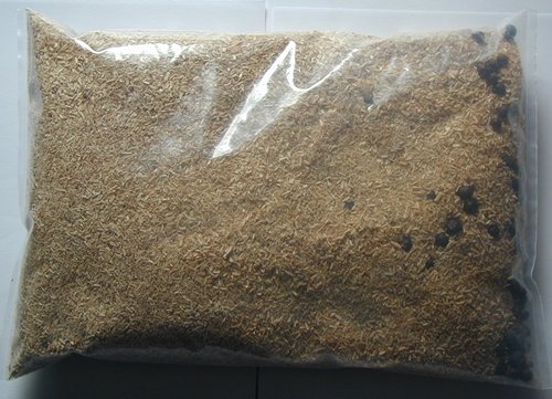 Räuchermehl Buche fein mit Wacholder 1000g Räuchermehl Buche fein mit Wacholder 1000g von Angelfachmarkt