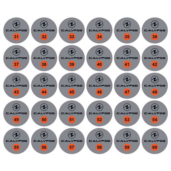 Aqualung Calypso 31-60 Numbers Stickers 30 Units Grau von Aqualung