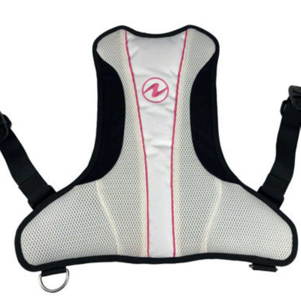 Aqualung Rogue Back Assembly Back Protector Grau L von Aqualung