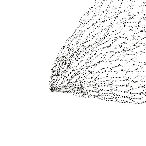 Ersatznetz für Fischernetz, Ersatz-Kescher, Durchmesser 40/50/60 cm, Karpfenbarsch, Fliegenfischen, Ersatz-Kescher, Netz-Fischernetz (50) von Aramox