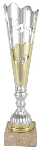 Art-Trophies AT41272 Pokal, für Erwachsene, Unisex, Silber, Gold, 32 cm von Art-Trophies
