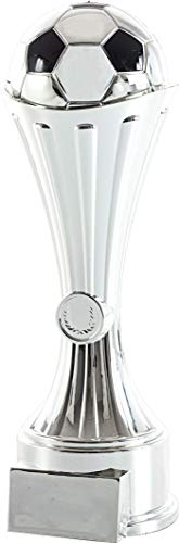 Art-Trophies AT44351 Trofeo Serie Sport, Erwachsene, Unisex, Silber, 31 cm von Art-Trophies
