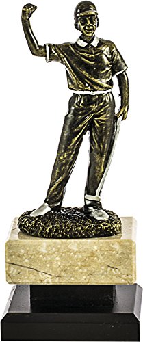 Art-Trophies TP501 Trophäe Golf Champion, Bronze, 20 cm von Art-Trophies