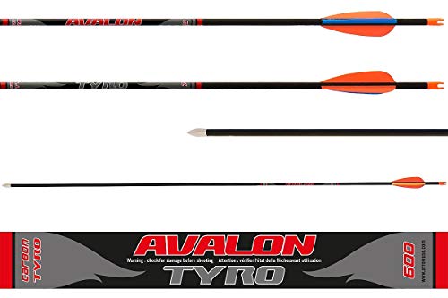 Avalon Carbonpfeile Tyro Spine 600 10 Stück von Avalon