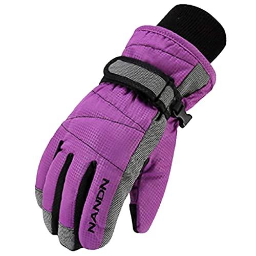 Azarxis Warme Handschuhe, Thermische Ski Snowboard Handschuhe, Winddich Winterhandschuhe für Damen und Herren (Violett, M) von Azarxis