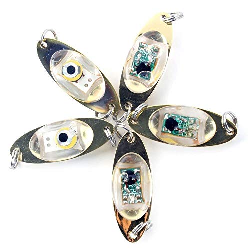 BAAQII 5 stücke LED Tiefer Tropfen Augen Form Fisch Squid Lure Light Flash Lampe von BAAQII