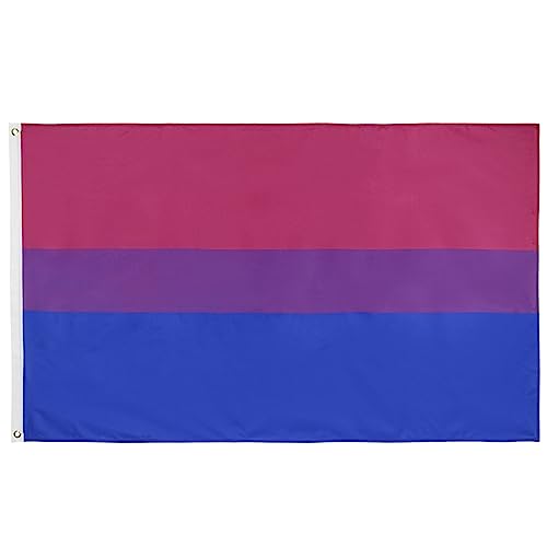 BAYORE Polyester 90 X 150 Cm/35 X 59 Zoll Regenbogen Dinge Bisexuell Pansexuell Zubehör Flaggen von BAYORE
