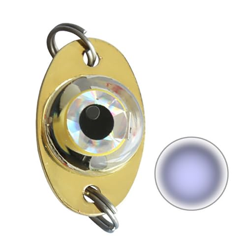 LED Trolling Deep Drop Fishing Light Baits Flasher Fishing Baits Fishing Spoons Underwaters Flasher Eye Fishing Baits von BCIOUS