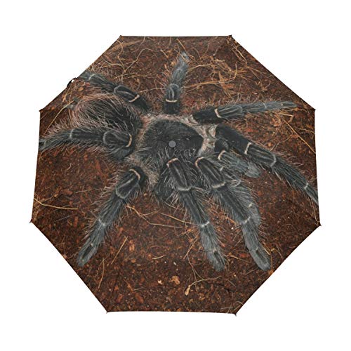 Schwarze Spinne Kunst Regenschirm Auf-Zu Automatik UV-Schutz Taschenschirm Winddichter Umbrella Klein Leicht Schirm Kompakt Schirme für Jungen Mädchen Reise Strand Frauen von BEUSS