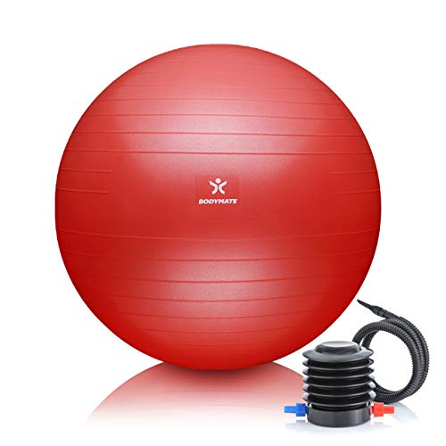 BODYMATE Gymnastikball Sitzball Trainingsball mit GRATIS E-Book inkl. Luft-Pumpe, Ball für Fitness, Yoga, Gymnastik, Core Training, für starken Rücken als Büro-Stuhl Pepper-RED 55cm von BODYMATE