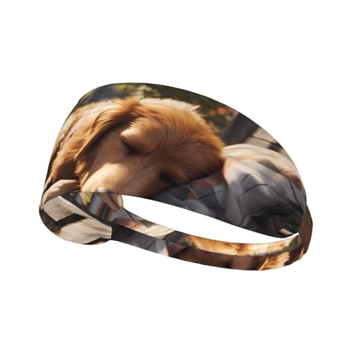 Elastisches Aldult-Stirnband für Damen und Herren, feuchtigkeitsableitend, athletisch, zum Laufen, Trainieren, Ausruhen des Hundes von BROLEO
