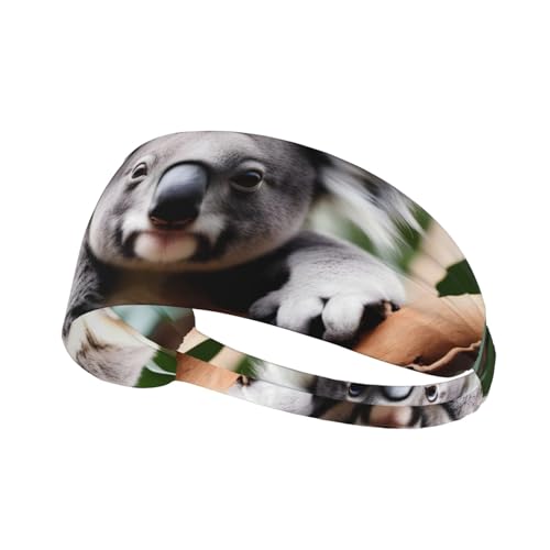 Elastisches Aldult-Stirnband für Damen und Herren, feuchtigkeitsableitend, athletisch, zum Laufen, Trainieren, niedliches Koala-Bild von BROLEO