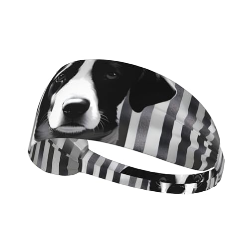 Elastisches Aldult-Stirnband für Damen und Herren, feuchtigkeitsableitend, athletisch, zum Laufen, Trainieren, schwarz-weißes Hundemuster von BROLEO