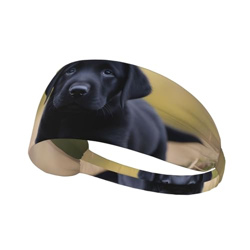 Elastisches Aldult-Stirnband für Damen und Herren, feuchtigkeitsableitend, athletisch, zum Laufen, Trainieren, schwarzer Labrador-Welpenbild von BROLEO