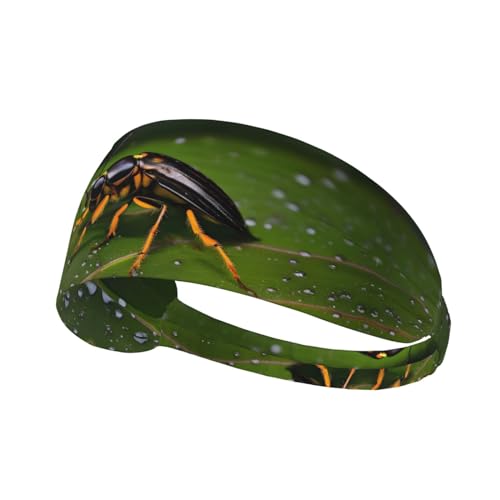 Elastisches Aldult Übungs-Stirnband für Damen und Herren, feuchtigkeitsableitend, athletisch, zum Laufen, Trainieren von Insekten auf Blättern von BROLEO