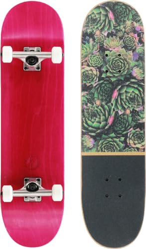 BTFL Komplettboard Plants, Skateboard Deck 8.125" mit ABEC 9 Kugellager für Anfänger und Fortgeschrittene, Geschenke für Mädchen und Jungs, Kinder, Erwachsene von BTFL