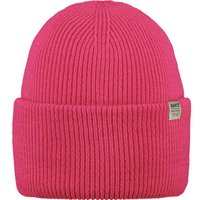 BARTS Herren Haveno Beanie von Barts