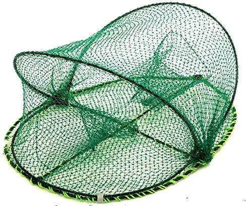 Behr Kescher und Reuser Köderfisch, Neu Oval, 60244 von Behr