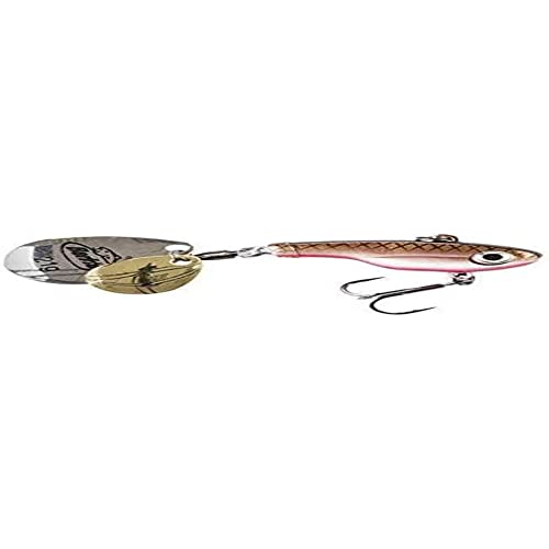 Berkley Pulse Spintail Perch Barsch Angelköder, 7 cm |14 g, Black & Red von Berkley