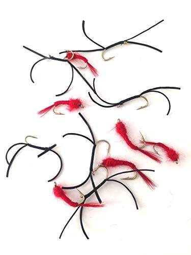 BestCity Tackle Fliegen Angeln flexifloss Bloodworm Zwölf Tailed Kärtchen, jeweils Forelle Chub Größe 10–14 Pack # 170 von BestCity Tackle
