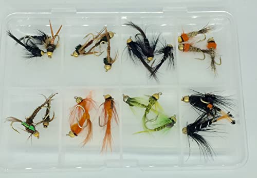 Fliegenangeln 24 Perlenkopf Sommer Nymphe Auswahl Größe 10–12 Forellen Fliegen Lieferung in Kiste mit Klemmverschluss; Fliegenbox Pack # 308 von BestCity