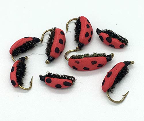 Forelle Karpfen Fly Angeln Lady Bird Beetle (Lady Bug) von 8 Fliegen Größe 10–16 von BestCity Tackle