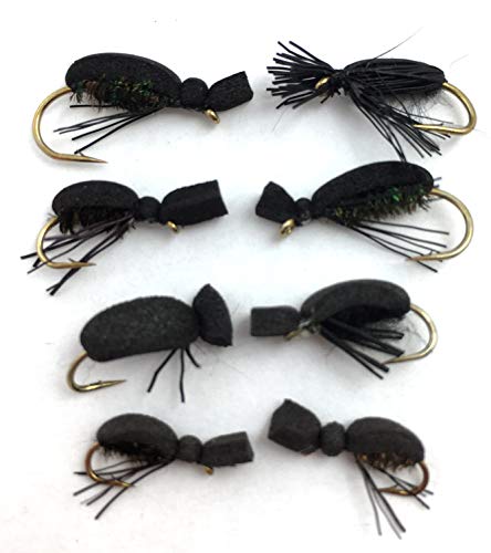 Köder für Fliegenfischen „schwarzer Käfer“, sechs Größen 10 – 16, für Forellen, Kaulbarsche, Äschen etc., Pack #133, Schwarz von BestCity Tackle