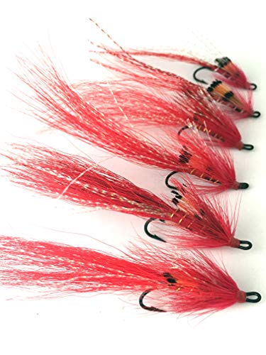 Fliegen Angeln Lachs Fliegen Rot Allys Shrimp Größe 6–10 Doppel Pack Von 6 UK verpackt # 152 von BestCity