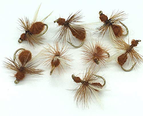 Angeln Fliegen Dry ANT braun für Forelle Barsch Döbel Pack # 159br von BestCity