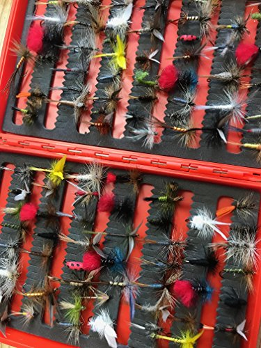 Angeln Fly Auswahl mehr als 100 Fliegen für Forellen Freien Clip Shut Box Pack # 501, Dry Flies von BestCity