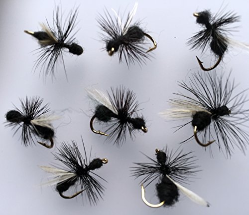 Angeln Fliegen Trocken Fliegen ANT schwarz für Forellen Chub Sitzstange Pack # 159bl, von BestCity