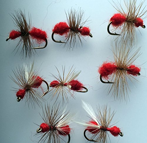 Angeln Fliegen Trocken Fliegen ANT rot für Forellen Chub Sitzstange Pack # 159 R, von BestCity