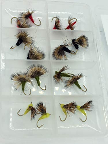 BestCity Fliegenfischen Premium Comparadun Trockenfliegen, 16 Stück, inkl. Fliegenbox #311 Forellen von BestCity