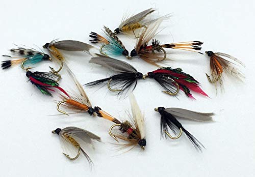 BestCity Klein – Wet Angeln Fliegen, zwölf Fly Pack für Forellen Kleine Haken 18 20 UK rotiert Pack # 71 von BestCity