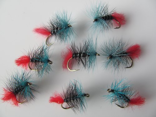 Blue Zulu Trockenfliegen zum Fliegenfischen, für Forellen, Größe10, feinste Qualität aus Großbritannien – 8 Stück von BestCity