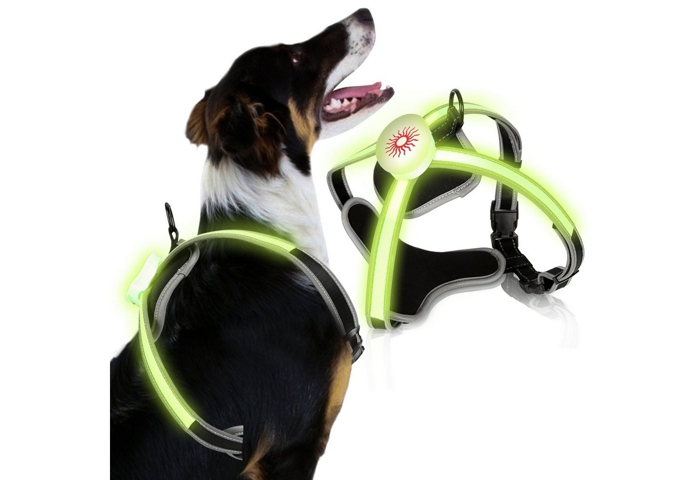 Bettizia Hunde-Geschirr LED Hundegeschirr Leuchtend Brustgeschirr Wiederaufladbare Hunde von Bettizia