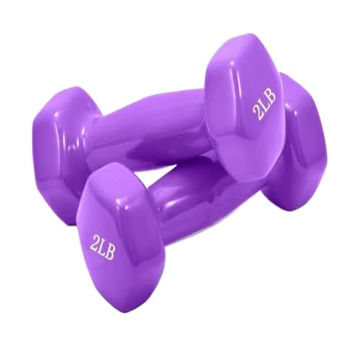 Biijuk Hantel Glänzende, In Kunststoff Getauchte Hanteln for Männer Und Frauen, Fitness-Trainingsgeräte, Heim-Arm-Hebe-Arm-Kraft-Hanteln Dumbell (Color : Purple, Size : 0.5kg) von Biijuk