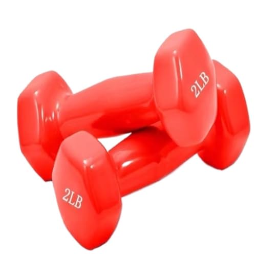 Dumbbells Glänzende, In Kunststoff Getauchte Hanteln For Männer Und Frauen, Fitness-Trainingsgeräte, Heim-Arm-Hebe-Arm-Kraft-Hanteln Hantelset (Color : Red, Size : 8kg) von Biijuk